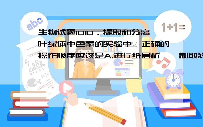 生物试题1010．提取和分离叶绿体中色素的实验中,正确的操作顺序应该是A.进行纸层析——制取滤液——在滤纸条上画线——将实验材料研磨 B.制取滤液——进行纸层析——在滤纸条上画线—