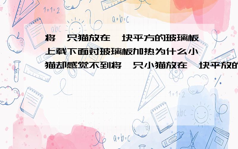 将一只猫放在一块平方的玻璃板上载下面对玻璃板加热为什么小猫却感觉不到将一只小猫放在一块平放的玻璃板上 在下面对小猫所在的玻璃板上加热 小猫却露出一种浑然不知的表情 为什么?