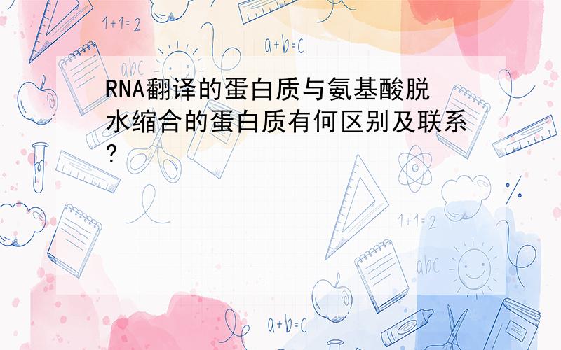 RNA翻译的蛋白质与氨基酸脱水缩合的蛋白质有何区别及联系?