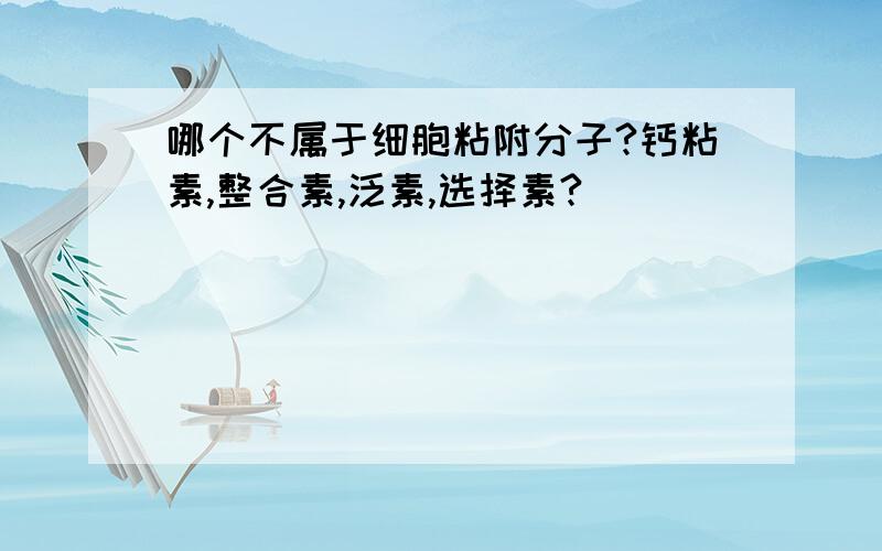 哪个不属于细胞粘附分子?钙粘素,整合素,泛素,选择素?