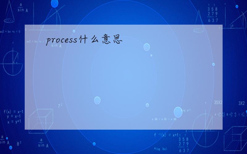 process什么意思