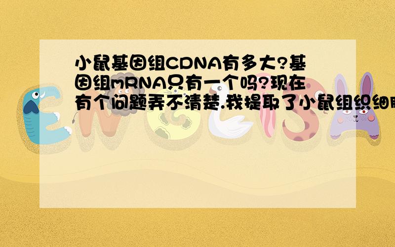 小鼠基因组CDNA有多大?基因组mRNA只有一个吗?现在有个问题弄不清楚.我提取了小鼠组织细胞的总RNA,然后用逆转录酶形成CDNA,然后将cDNA点样电泳.发现它的条带有一万多.请问这正常吗?还有我体