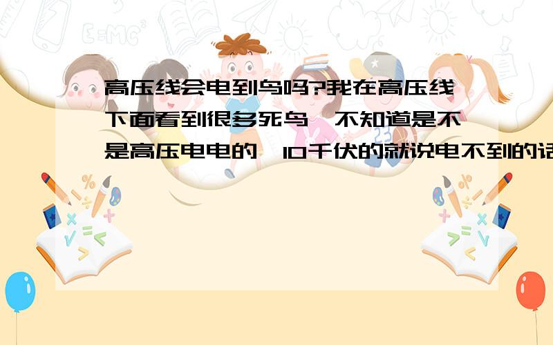 高压线会电到鸟吗?我在高压线下面看到很多死鸟,不知道是不是高压电电的,10千伏的就说电不到的话,那一定有感应,要么它为什么不敢落