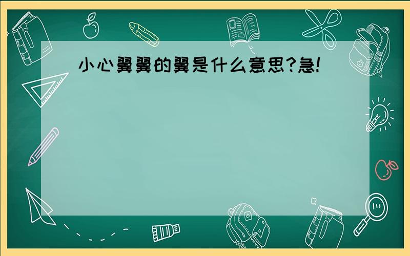 小心翼翼的翼是什么意思?急!