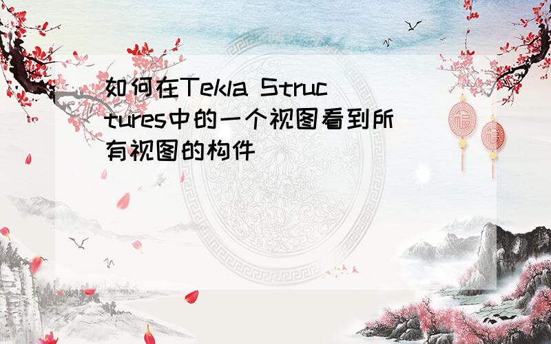 如何在Tekla Structures中的一个视图看到所有视图的构件