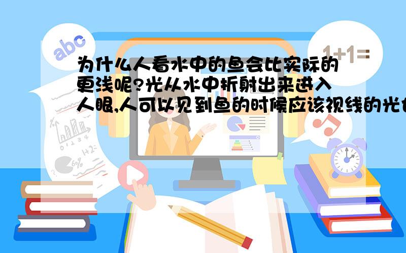 为什么人看水中的鱼会比实际的更浅呢?光从水中折射出来进入人眼,人可以见到鱼的时候应该视线的光也会发生折射吧?