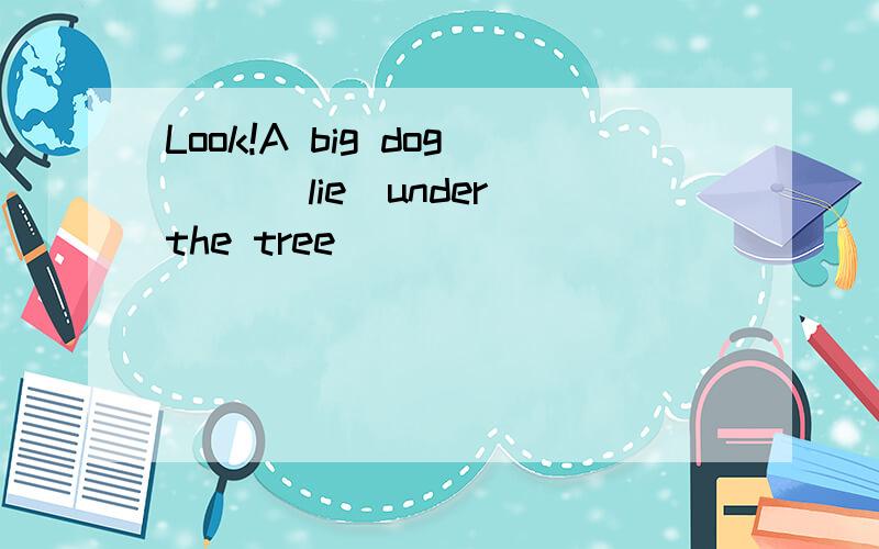 Look!A big dog( )(lie)under the tree