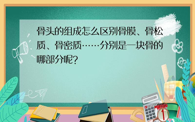 骨头的组成怎么区别骨膜、骨松质、骨密质……分别是一块骨的哪部分呢?