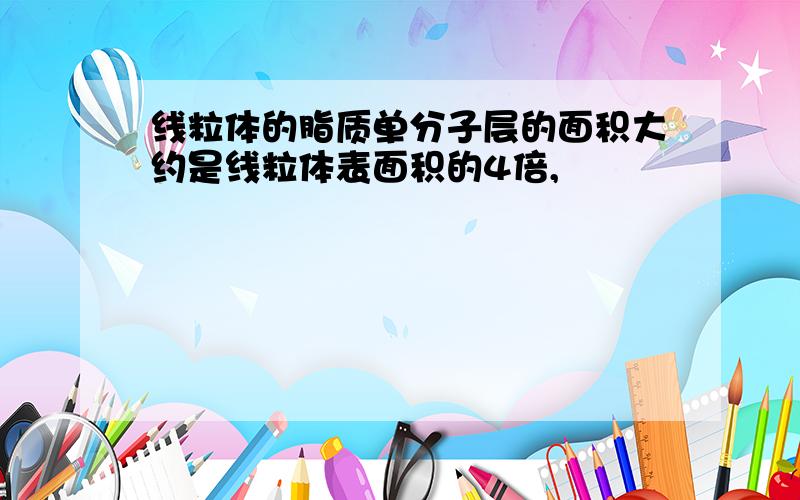 线粒体的脂质单分子层的面积大约是线粒体表面积的4倍,