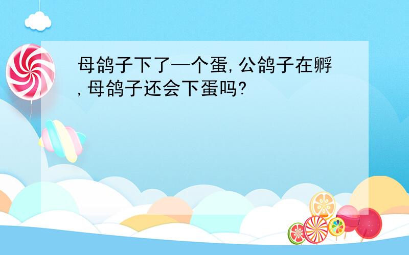 母鸽子下了—个蛋,公鸽子在孵,母鸽子还会下蛋吗?