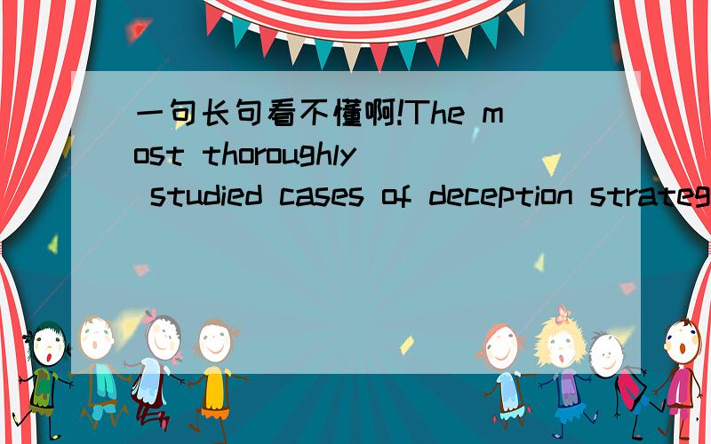 一句长句看不懂啊!The most thoroughly studied cases of deception strategies employed by ground-nesting birds involve plovers,small birds that typically nest on beaches or in open fields,their nests merely scrapes in sand or earth.