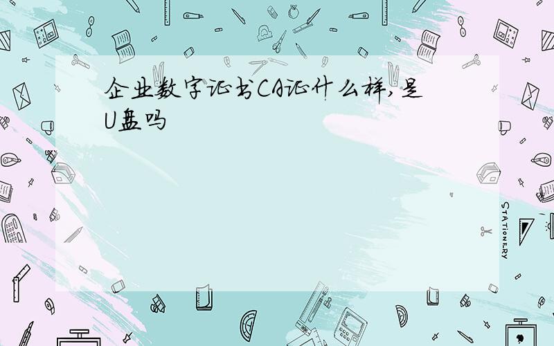 企业数字证书CA证什么样,是U盘吗