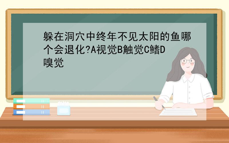 躲在洞穴中终年不见太阳的鱼哪个会退化?A视觉B触觉C鳍D嗅觉