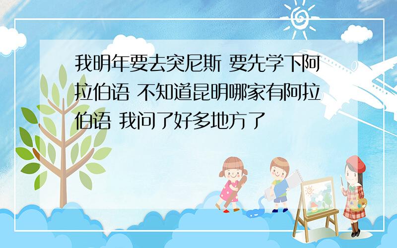 我明年要去突尼斯 要先学下阿拉伯语 不知道昆明哪家有阿拉伯语 我问了好多地方了