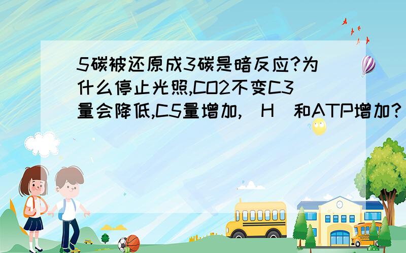 5碳被还原成3碳是暗反应?为什么停止光照,CO2不变C3量会降低,C5量增加,(H)和ATP增加?