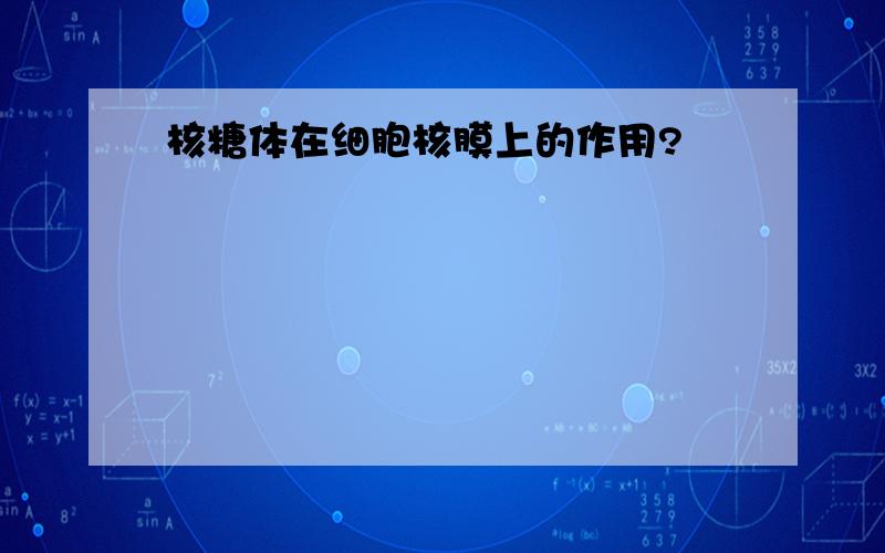 核糖体在细胞核膜上的作用?