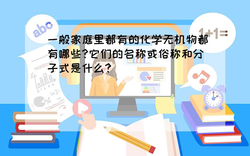 一般家庭里都有的化学无机物都有哪些?它们的名称或俗称和分子式是什么?