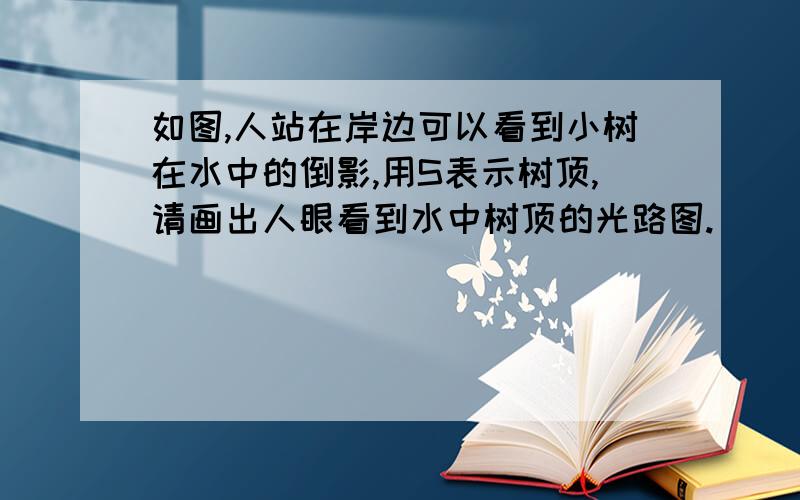 如图,人站在岸边可以看到小树在水中的倒影,用S表示树顶,请画出人眼看到水中树顶的光路图.