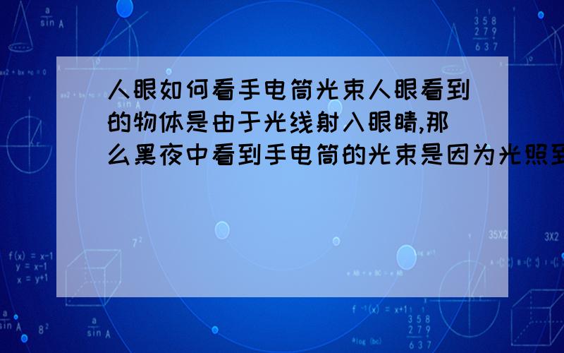 人眼如何看手电筒光束人眼看到的物体是由于光线射入眼睛,那么黑夜中看到手电筒的光束是因为光照到障碍物上发生漫反射,还是其他原因.如果是由于漫反射的话,那如果光照到一个理想的镜