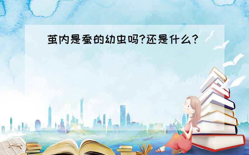 茧内是蚕的幼虫吗?还是什么?