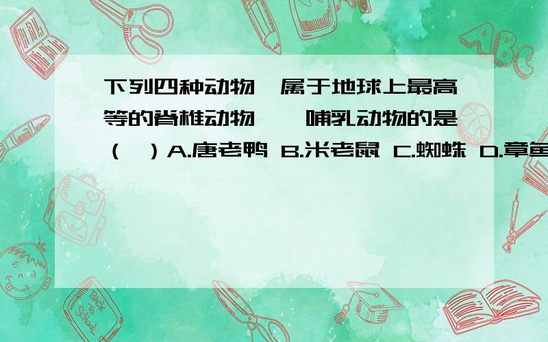 下列四种动物,属于地球上最高等的脊椎动物——哺乳动物的是（ ）A.唐老鸭 B.米老鼠 C.蜘蛛 D.章鱼