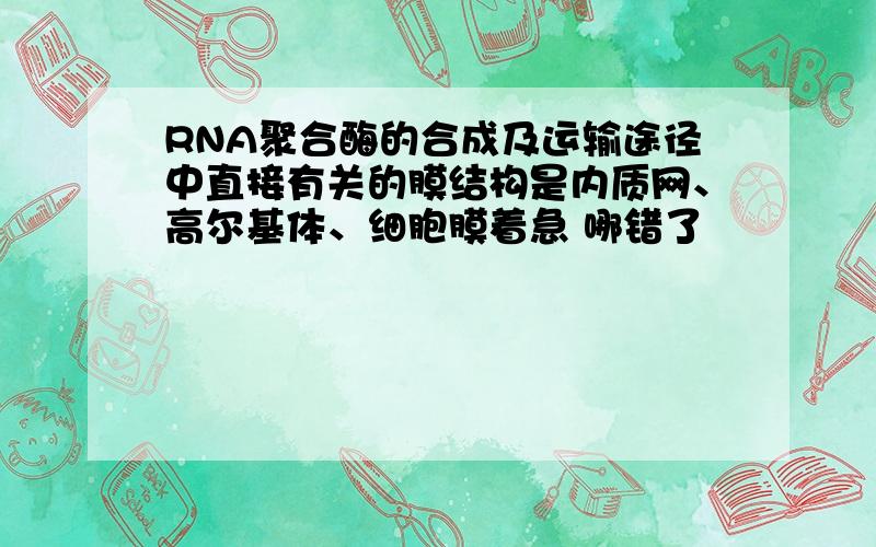 RNA聚合酶的合成及运输途径中直接有关的膜结构是内质网、高尔基体、细胞膜着急 哪错了