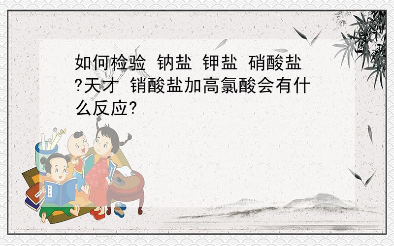 如何检验 钠盐 钾盐 硝酸盐?天才 销酸盐加高氯酸会有什么反应?