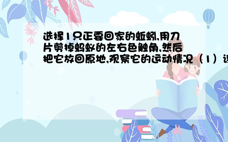 选择1只正要回家的蚯蚓,用刀片剪掉蚂蚁的左右色触角,然后把它放回原地,观察它的运动情况（1）该实验基于的假设是（2）该小组的实验设计还不够完善,请你提出改进的意见（3）对于蚂蚁