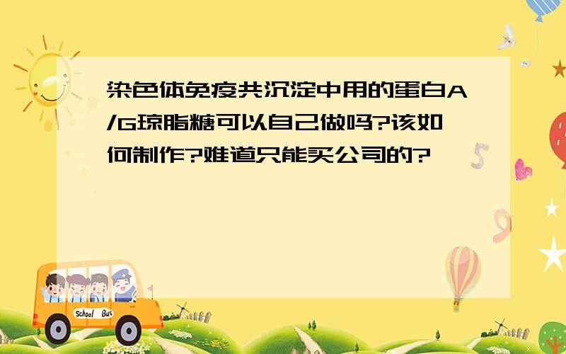 染色体免疫共沉淀中用的蛋白A/G琼脂糖可以自己做吗?该如何制作?难道只能买公司的?