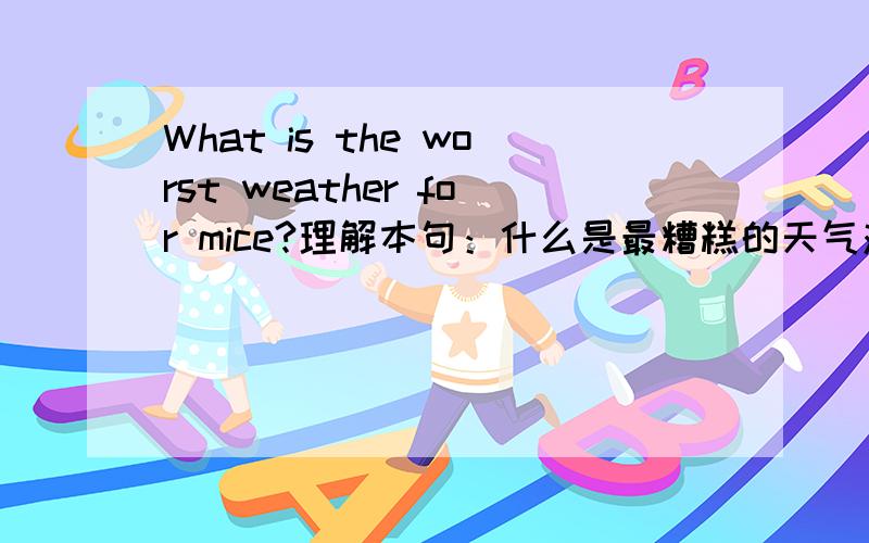 What is the worst weather for mice?理解本句：什么是最糟糕的天气对于老鼠呢?且这是脑筋急转弯!