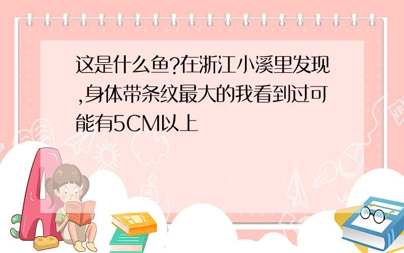 这是什么鱼?在浙江小溪里发现,身体带条纹最大的我看到过可能有5CM以上