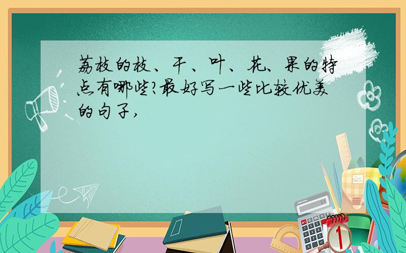 荔枝的枝、干、叶、花、果的特点有哪些?最好写一些比较优美的句子,