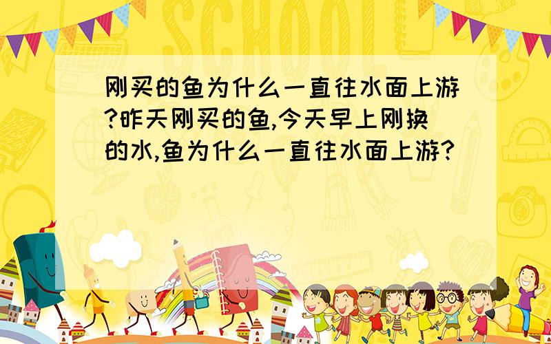 刚买的鱼为什么一直往水面上游?昨天刚买的鱼,今天早上刚换的水,鱼为什么一直往水面上游?