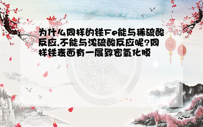 为什么同样的铁Fe能与稀硫酸反应,不能与浓硫酸反应呢?同样铁表面有一层致密氧化膜