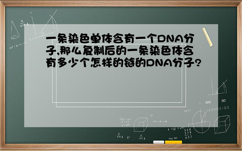 一条染色单体含有一个DNA分子,那么复制后的一条染色体含有多少个怎样的链的DNA分子?