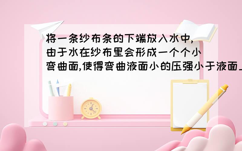 将一条纱布条的下端放入水中,由于水在纱布里会形成一个个小弯曲面,使得弯曲液面小的压强小于液面上的大气压强,由此产生一个附加压力使水能沿着纱布的小毛细管上升,这便是“毛细现象