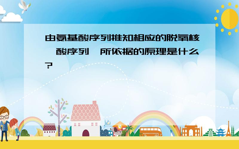 由氨基酸序列推知相应的脱氧核苷酸序列,所依据的原理是什么?