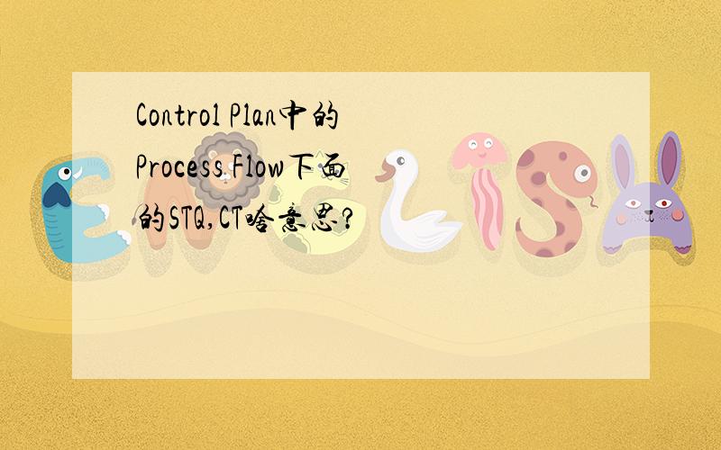 Control Plan中的Process Flow下面的STQ,CT啥意思?