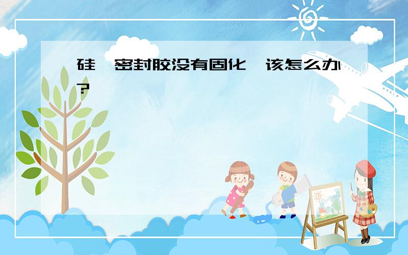 硅硐密封胶没有固化,该怎么办?