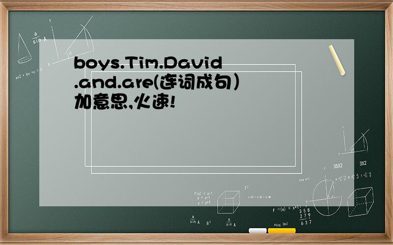 boys.Tim.David.and.are(连词成句）加意思,火速!