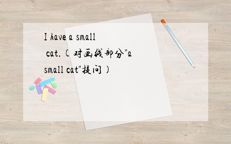 I have a small cat.(对画线部分