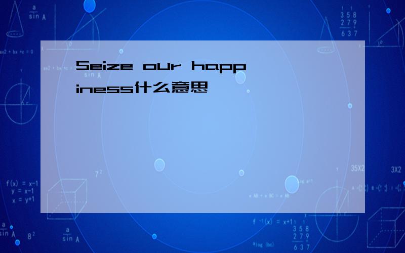 Seize our happiness什么意思