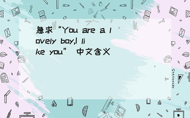 急求“You are a lovely boy,I like you” 中文含义