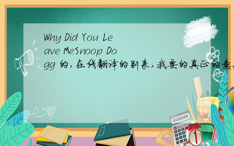 Why Did You Leave MeSnoop Dogg 的,在线翻译的别来,我要的真正的意思.我要的歌词,中文!