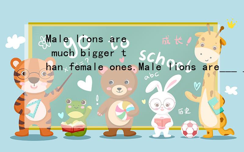 Male lions are much bigger than female ones.Male lions are___ ____female ones ____ ____.同义句转换