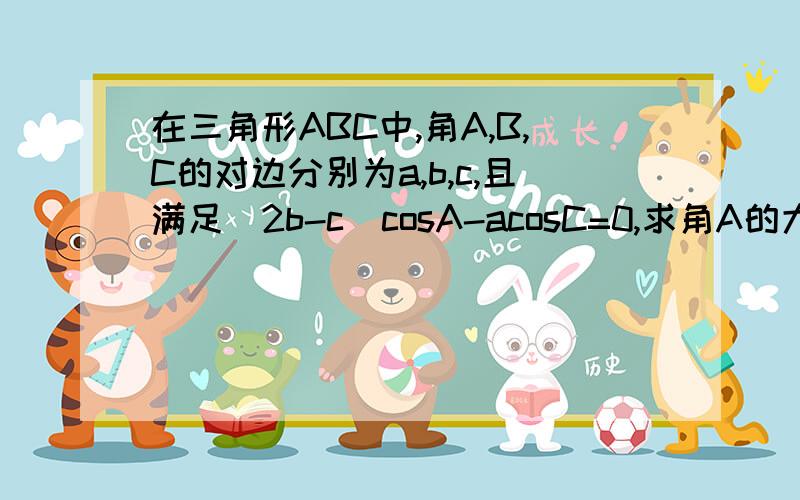 在三角形ABC中,角A,B,C的对边分别为a,b,c,且满足（2b-c）cosA-acosC=0,求角A的大小.