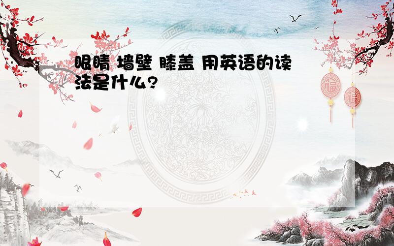 眼睛 墙壁 膝盖 用英语的读法是什么?