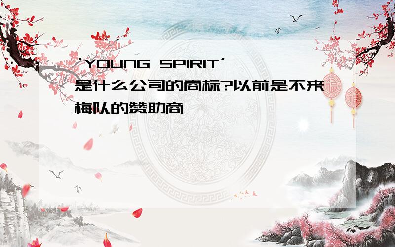 ‘YOUNG SPIRIT’是什么公司的商标?以前是不来梅队的赞助商