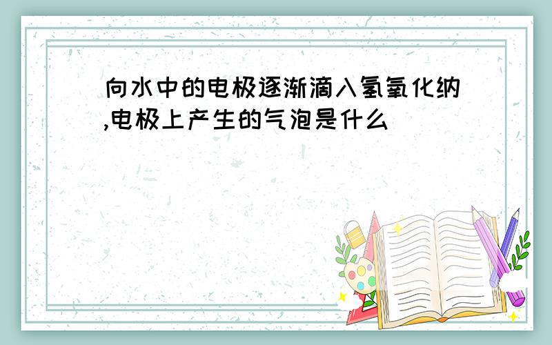 向水中的电极逐渐滴入氢氧化纳,电极上产生的气泡是什么