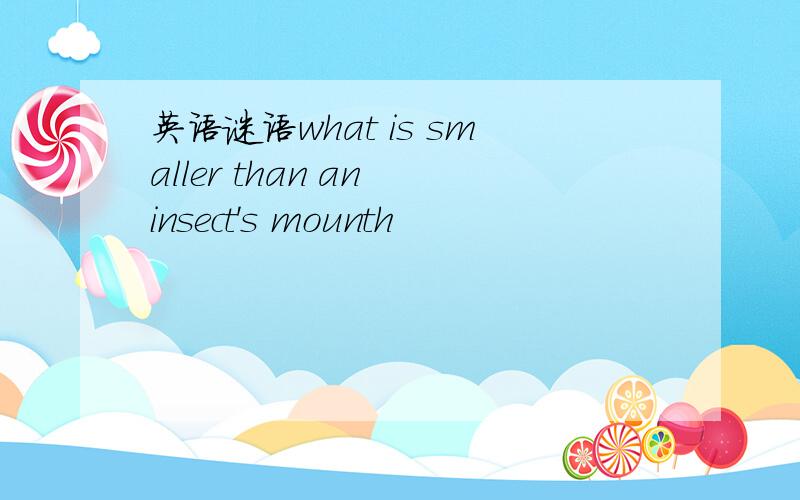 英语谜语what is smaller than an insect's mounth